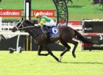 Jockey in green and yellow silks rides a dark horse over a hurdle at a Ladbrokes-sponsored racecourse, with a decorative arch behind them.