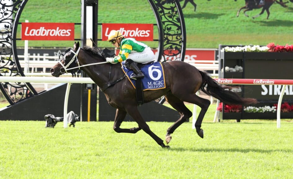 Jockey in green and yellow silks rides a dark horse over a hurdle at a Ladbrokes-sponsored racecourse, with a decorative arch behind them.