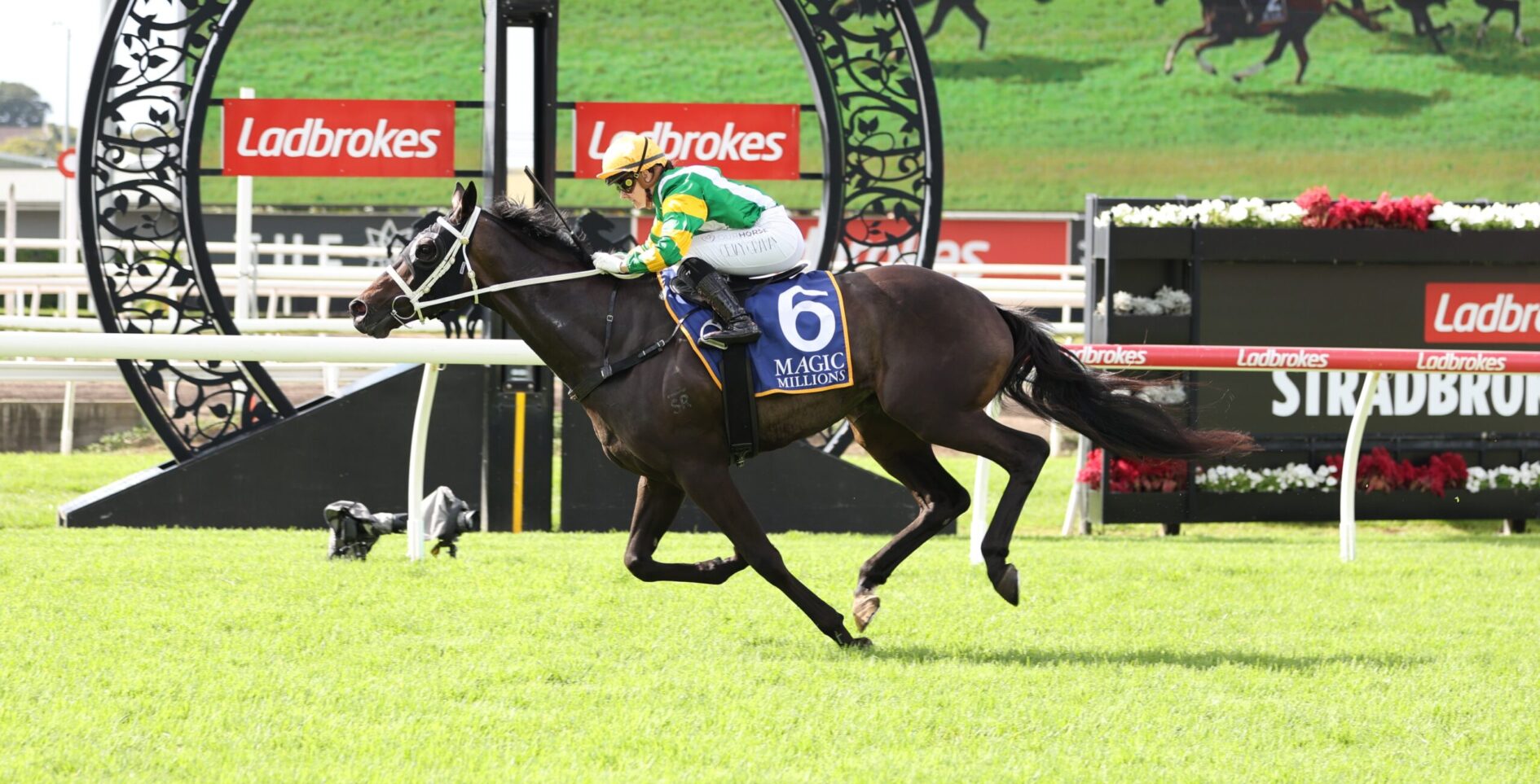 Jockey in green and yellow silks rides a dark horse over a hurdle at a Ladbrokes-sponsored racecourse, with a decorative arch behind them.