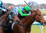 Two jockeys ride competing horses neck-and-neck in a race, one in green silks and the other in blue checkered silks, on a grassy track.
