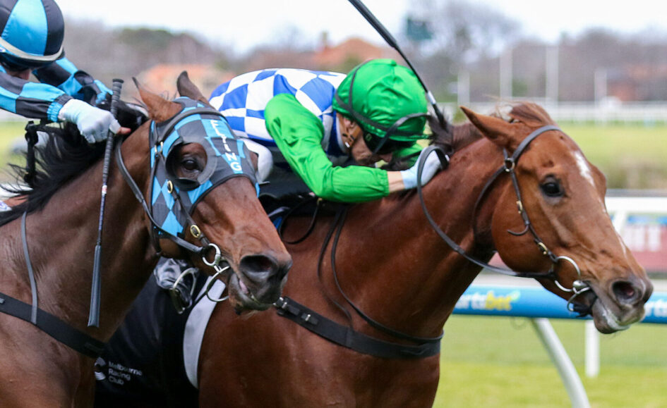 Two jockeys ride competing horses neck-and-neck in a race, one in green silks and the other in blue checkered silks, on a grassy track.