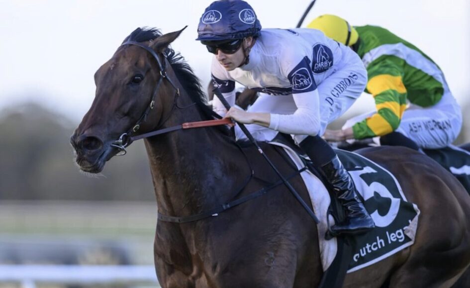 Dark bay racehorse with a white-silks rider in blue helmet racing at speed on a track.