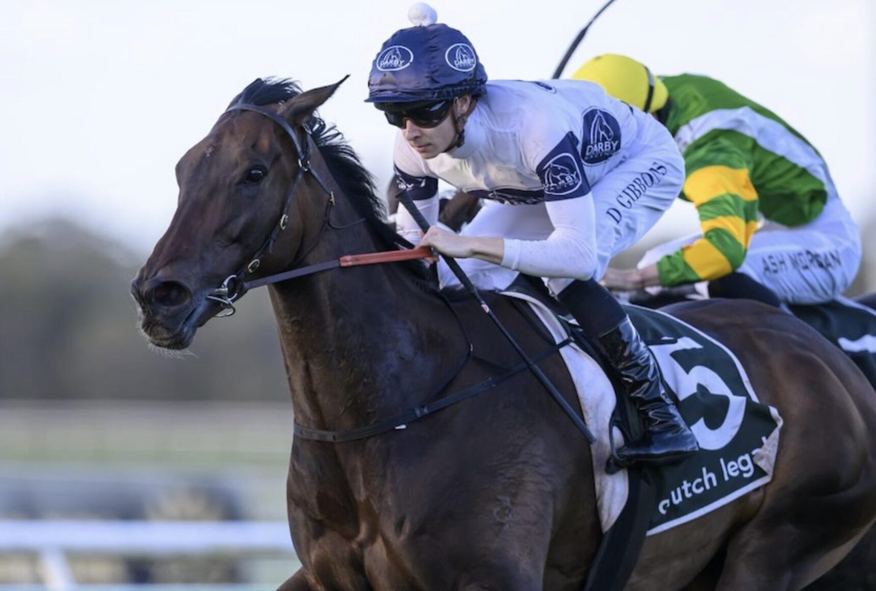 Dark bay racehorse with a white-silks rider in blue helmet racing at speed on a track.