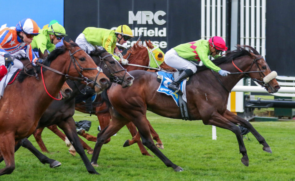 Group of jockeys in colorful silks riding thoroughbreds racing side by side on a grassy track, mid-sprint toward the finish.