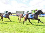 Jockeys and horses race on a sunny track, closest to camera is a dark horse with a neon green cap, blue saddlecloths visible, crowd and scoreboard in background
