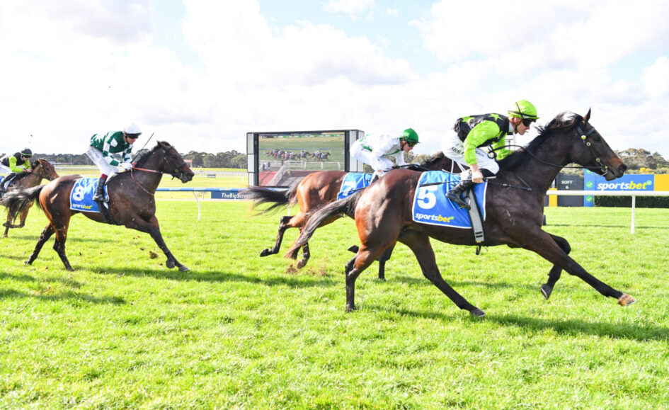 Jockeys and horses race on a sunny track, closest to camera is a dark horse with a neon green cap, blue saddlecloths visible, crowd and scoreboard in background