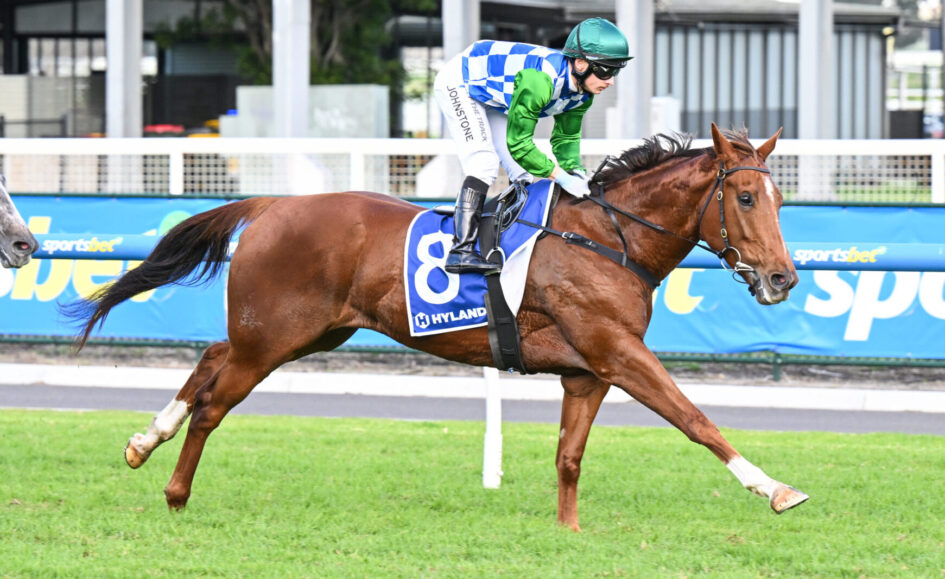 Jockey wearing blue‑white checkered silks and green helmet rides brown horse on a race track, number 8 banner in background.