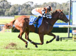Jockey in orange and black silks riding a brown horse mid-jump over a hurdle on a sunny raceground.
