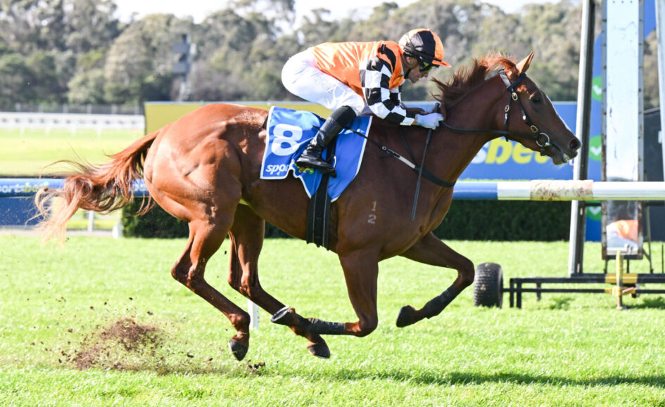 Jockey in orange and black silks riding a brown horse mid-jump over a hurdle on a sunny raceground.