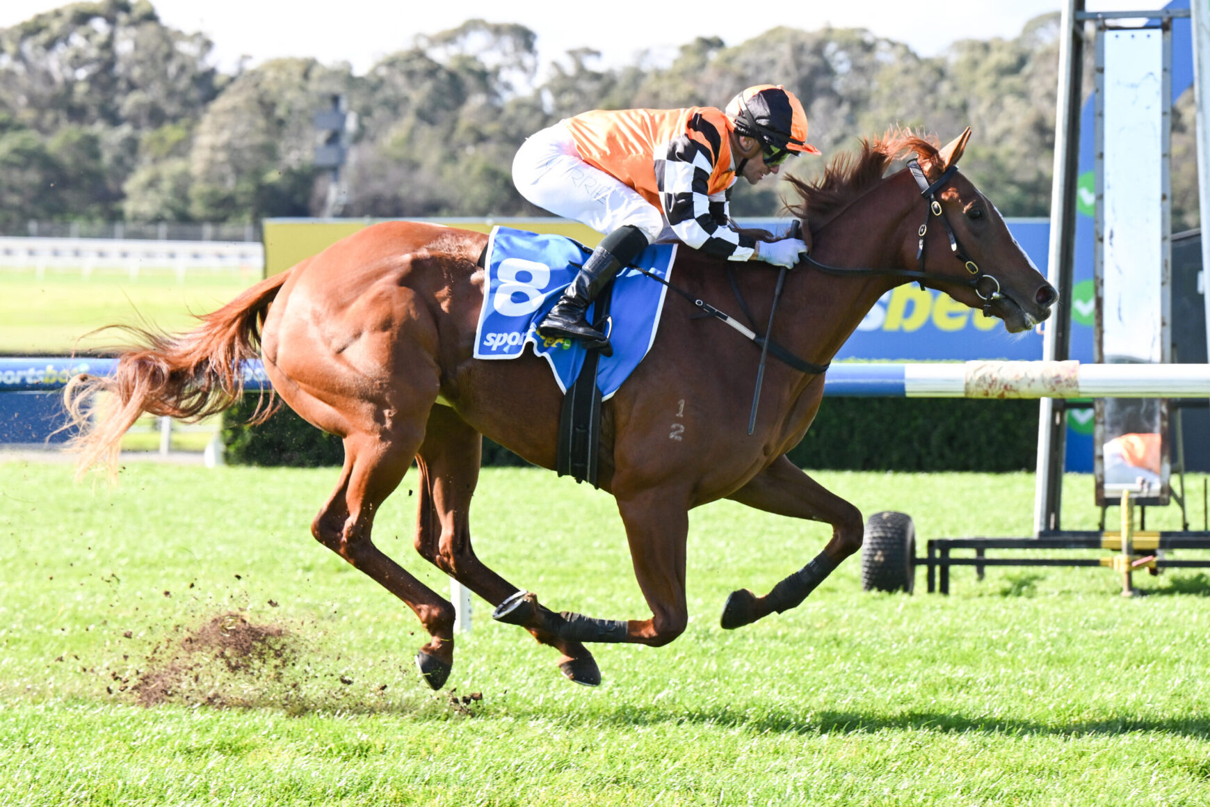 Jockey in orange and black silks riding a brown horse mid-jump over a hurdle on a sunny raceground.