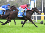 Two jockeys ride racehorses at full speed on a green turf track, blue silks on horse #3 and red silks on horse #4 with 'sportsbet' saddlecloths.