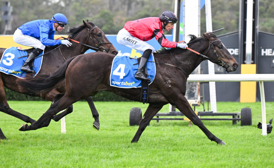 Two jockeys ride racehorses at full speed on a green turf track, blue silks on horse #3 and red silks on horse #4 with 'sportsbet' saddlecloths.