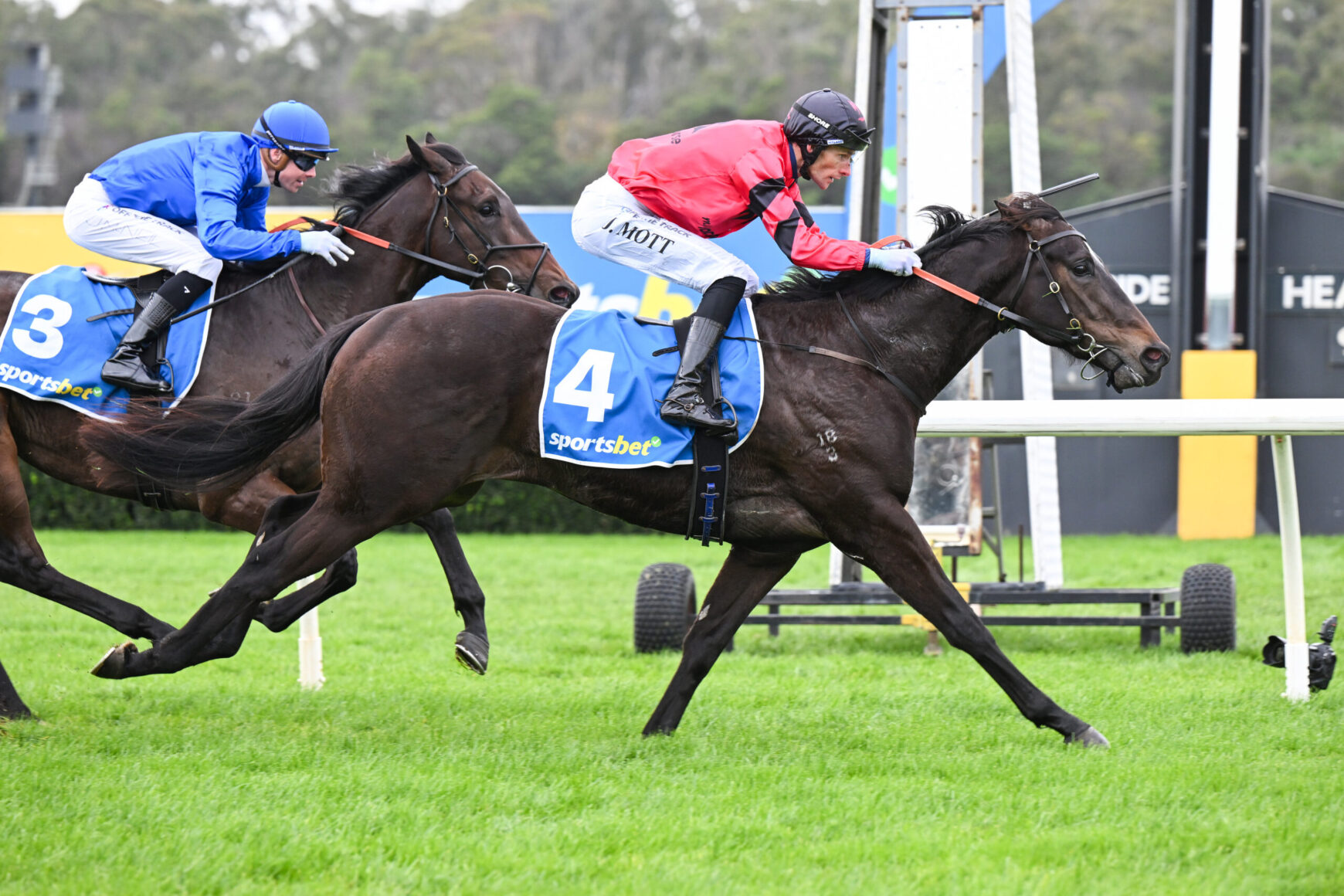 Two jockeys ride racehorses at full speed on a green turf track, blue silks on horse #3 and red silks on horse #4 with 'sportsbet' saddlecloths.