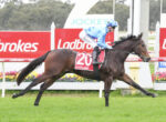 Jockey in blue silks riding a brown racehorse at full gallop on a turf track, with red Ladbrokes boards in the background and number 20 on the horse's saddlecloth.