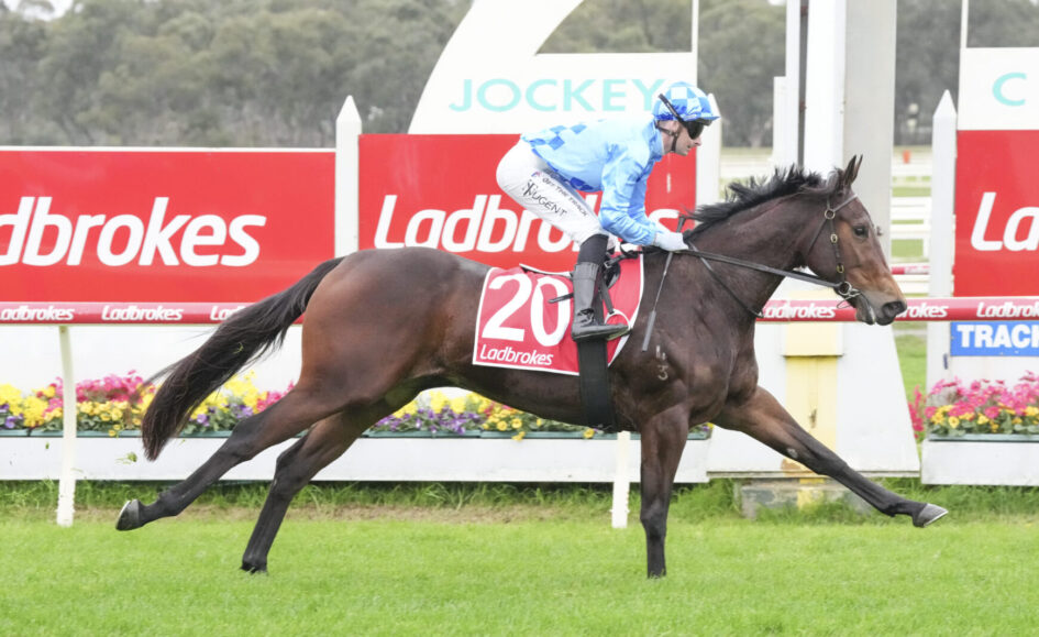 Jockey in blue silks riding a brown racehorse at full gallop on a turf track, with red Ladbrokes boards in the background and number 20 on the horse's saddlecloth.