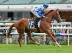 Jockey in blue silks and helmet rides a galloping chestnut horse wearing number 15, with spectators in the background stadium.