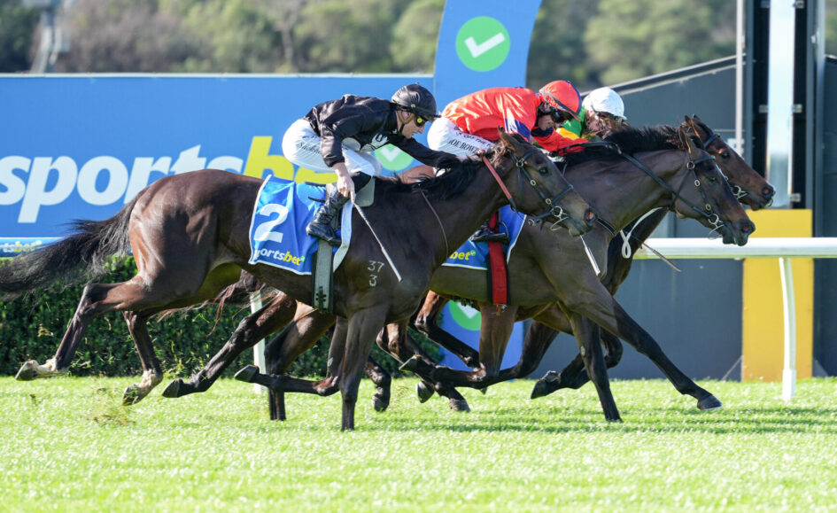 A group of jockeys riding fast horses in a horse race on a sunny track, nearing the finish line.",