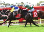 Two jockeys race side by side on thoroughbreds, wearing bright silks (blue/yellow and green/white with red stars) on a green turf track with red railing behind them.