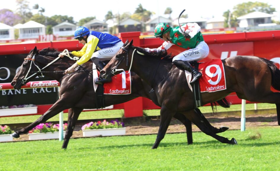 Two jockeys race side by side on thoroughbreds, wearing bright silks (blue/yellow and green/white with red stars) on a green turf track with red railing behind them.