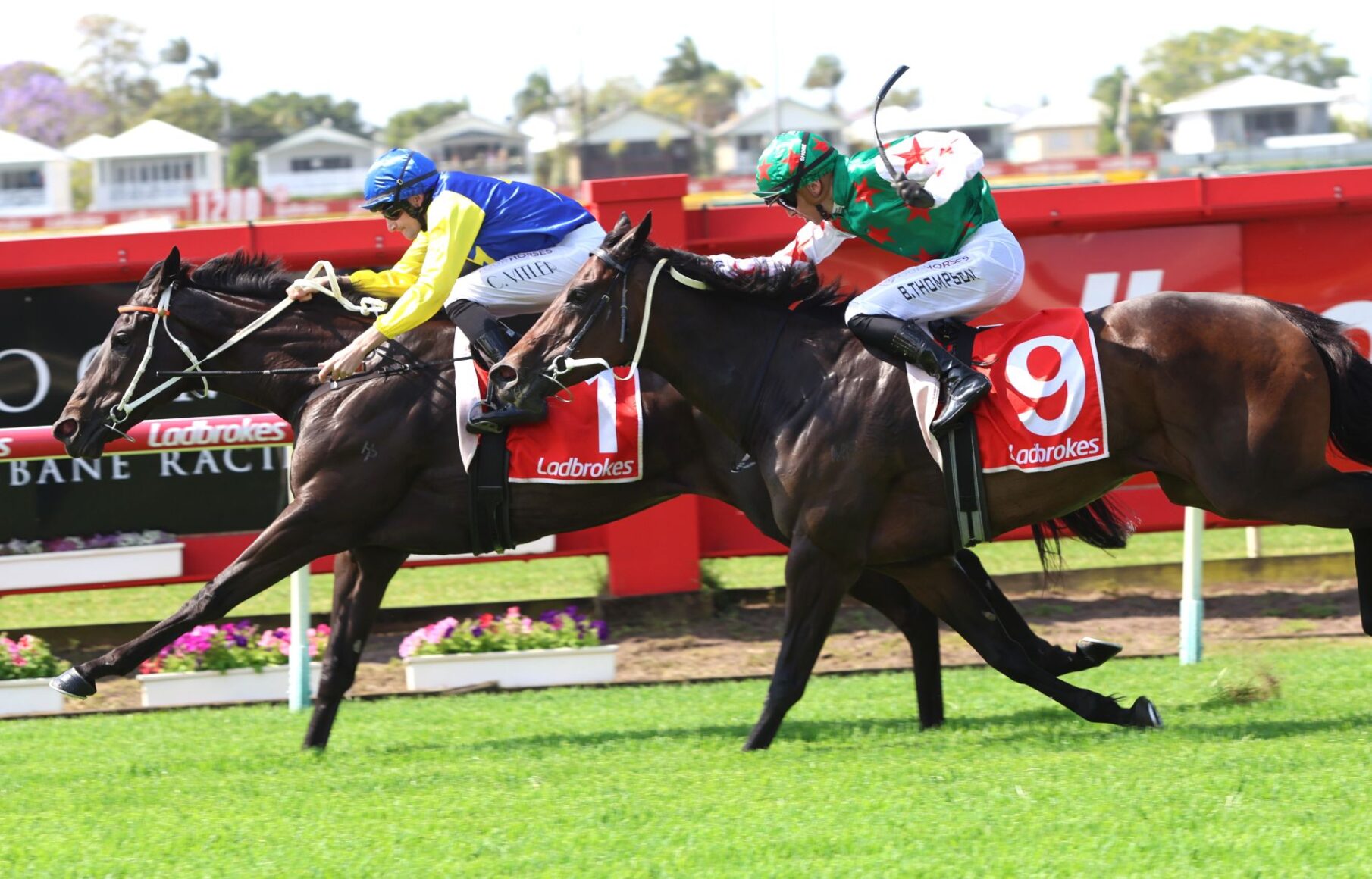 Two jockeys race side by side on thoroughbreds, wearing bright silks (blue/yellow and green/white with red stars) on a green turf track with red railing behind them.