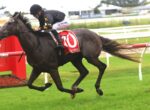 Racehorse with a jockey in black, sprinting on a grassy racetrack; red saddlecloth shows number 70.