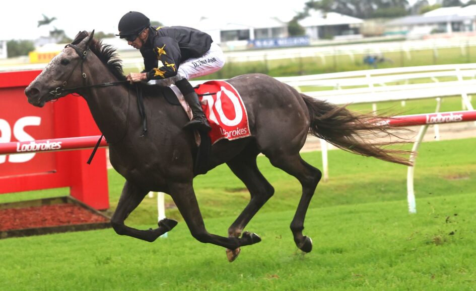 Racehorse with a jockey in black, sprinting on a grassy racetrack; red saddlecloth shows number 70.