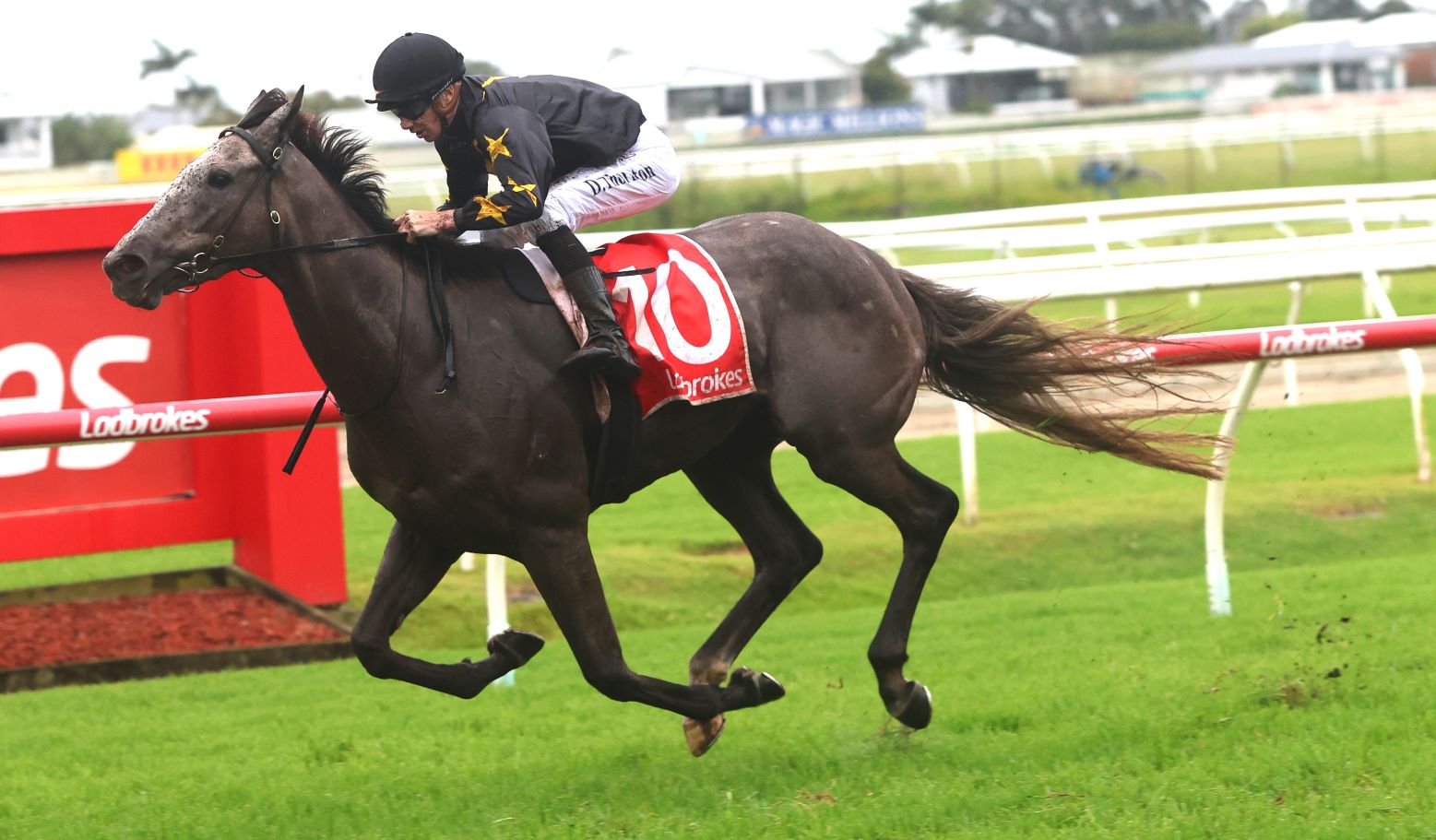 Racehorse with a jockey in black, sprinting on a grassy racetrack; red saddlecloth shows number 70.
