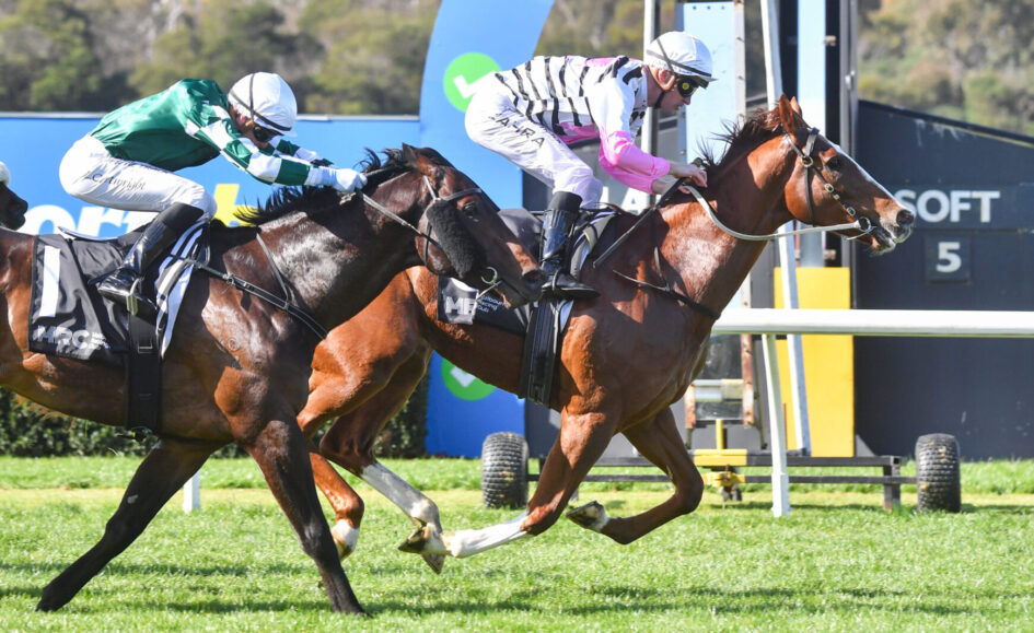 Two jockeys in mid-race calm a pair of galloping horses on a grassy track, leaning forward in sync during a race sprint.
