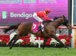 Jockey in red silks riding a bay racehorse with saddlecloth number 7, sprinting past flower barriers on a racetrack backdrop.