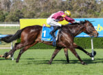 Jockey in maroon and gold rides a dark brown horse with blue 1 saddlecloth racing on a green track fence in background