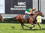 Jockey in orange and green silks rides a brown racehorse at Caulfield Racecourse during a race.