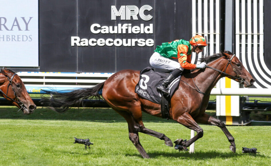 Jockey in orange and green silks rides a brown racehorse at Caulfield Racecourse during a race.
