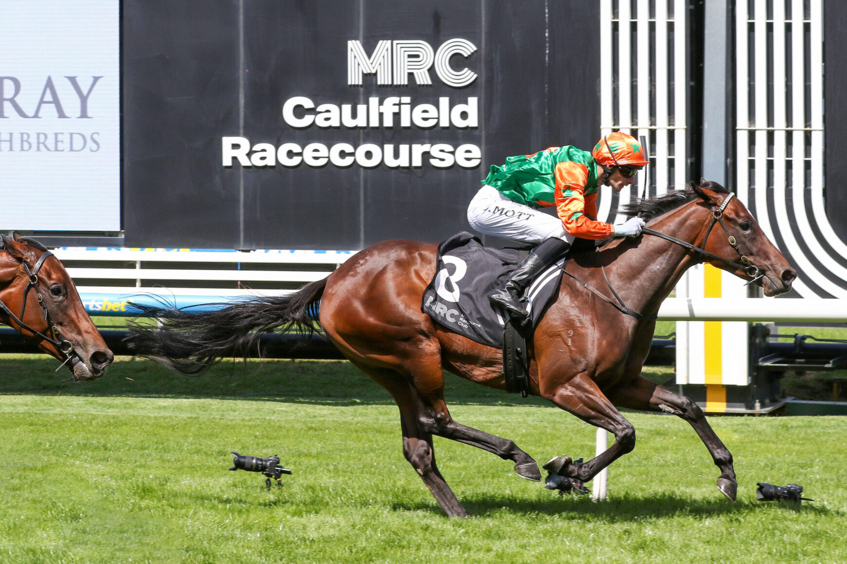 Jockey in orange and green silks rides a brown racehorse at Caulfield Racecourse during a race.
