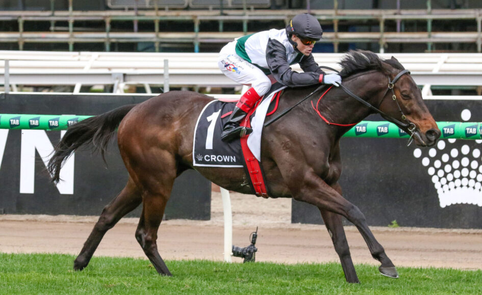 Jockey in black and white silks riding a dark brown racehorse on a track, saddle cloth number 1 with ‘CROWN’ logo.]