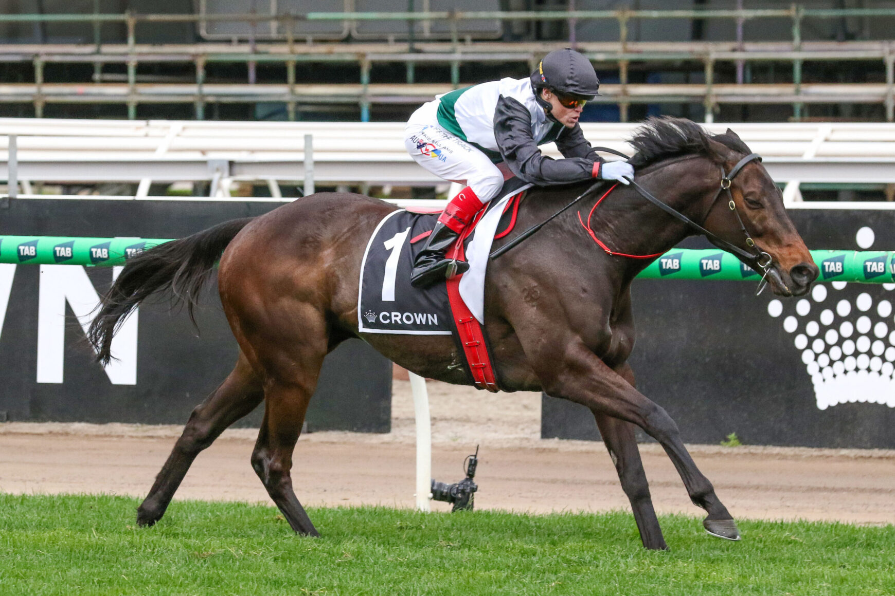 Jockey in black and white silks riding a dark brown racehorse on a track, saddle cloth number 1 with ‘CROWN’ logo.]