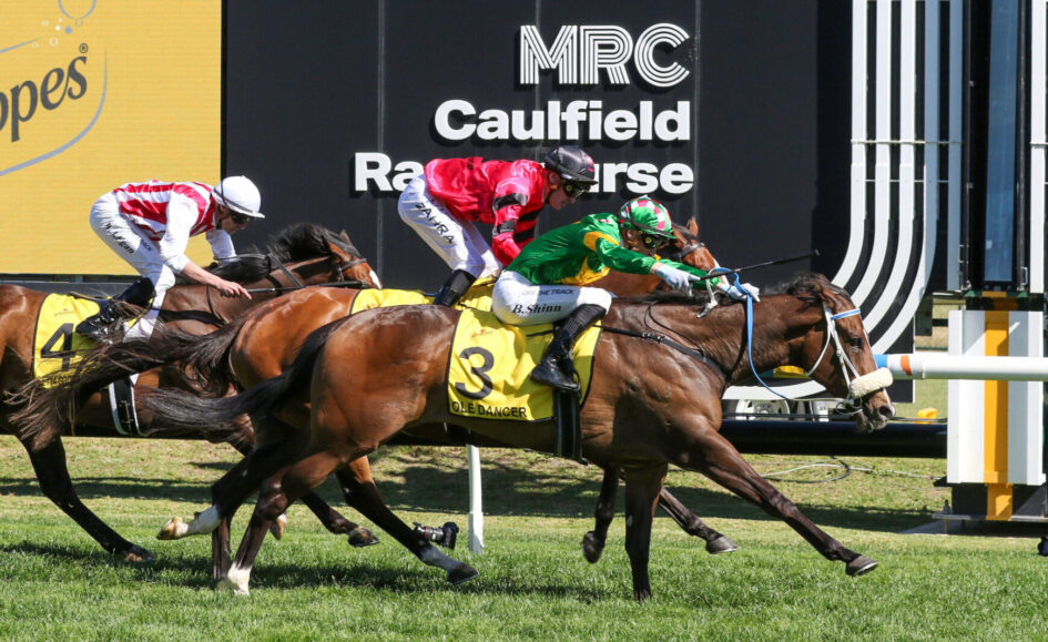 Finish-line action at Caulfield Racecourse with three jockeys in red, white, and green silks racing neck-and-neck toward the line.