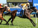 Two jockeys race side by side on thoroughbreds, blue saddle cloth with number 10 visible on the center horse, green track.
