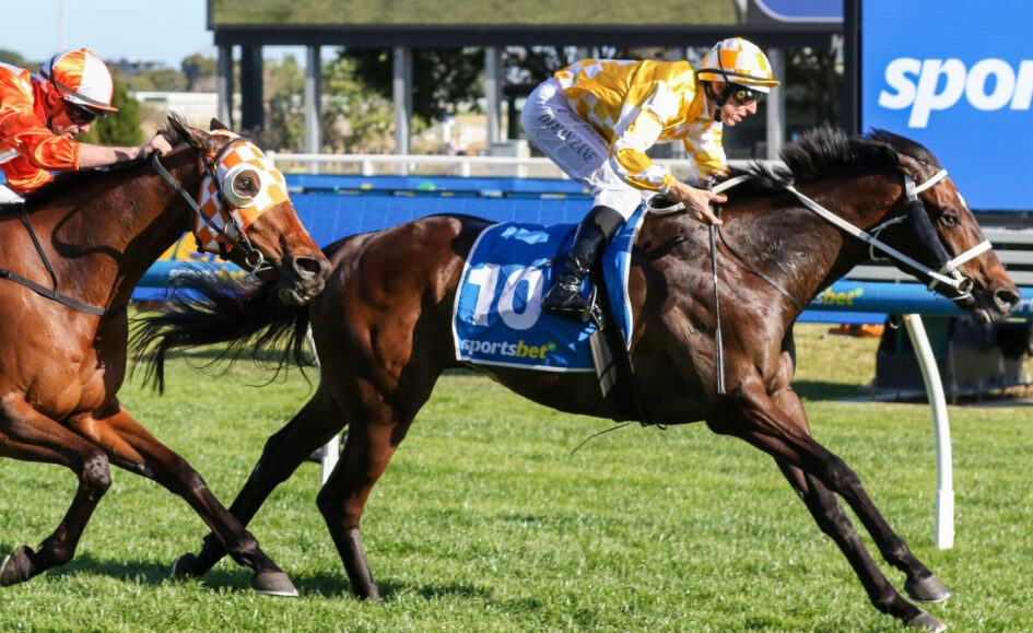 Two jockeys race side by side on thoroughbreds, blue saddle cloth with number 10 visible on the center horse, green track.