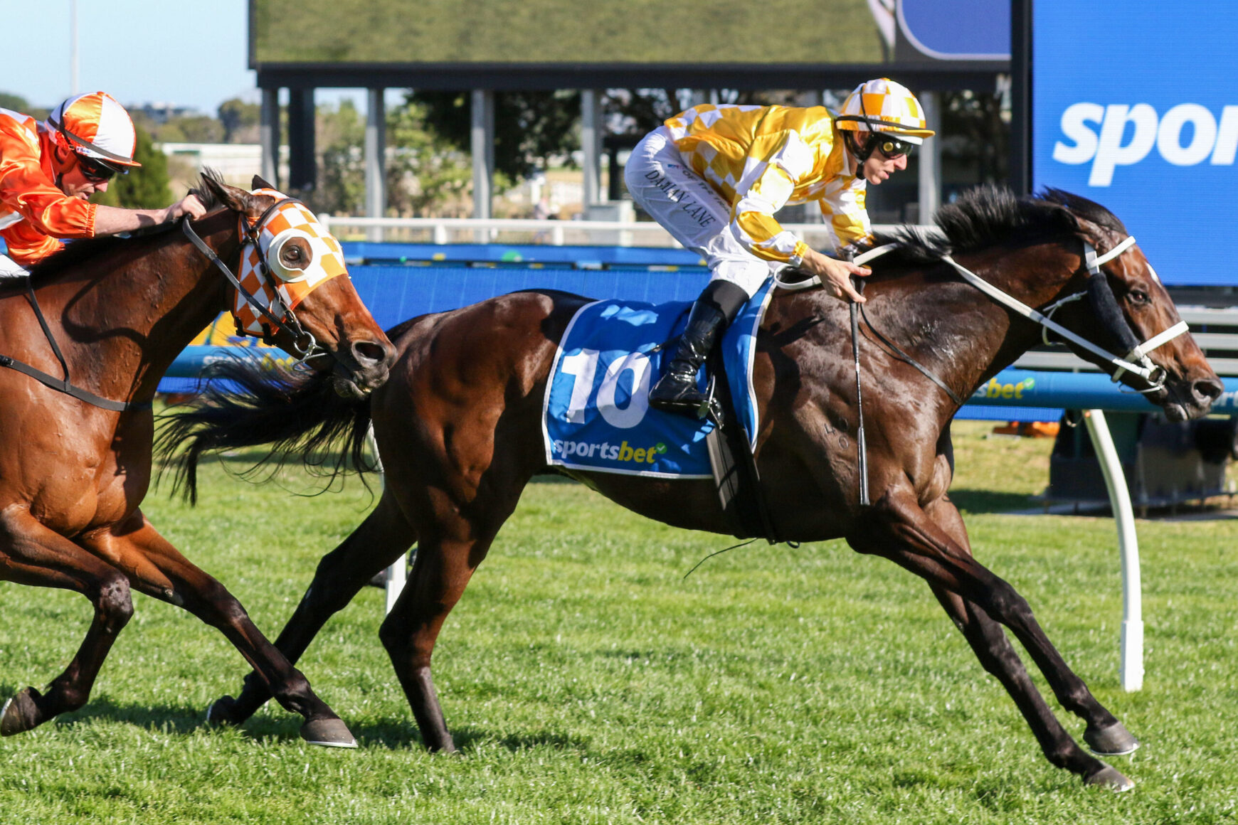 Two jockeys race side by side on thoroughbreds, blue saddle cloth with number 10 visible on the center horse, green track.