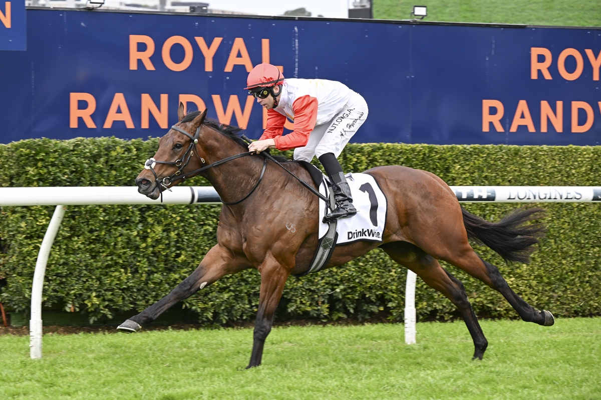 Jockey in red sleeves and pink helmet riding a brown racehorse (number 1) on a grassy race track, with Royal Randwick signage in the background.