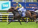 Jockey in yellow and blue rides a dark brown racehorse, number 6, on a green racetrack with a floral fence and blue advertising in the background.