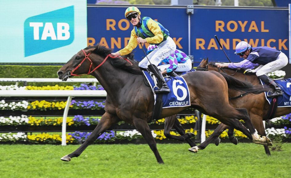 Jockey in yellow and blue rides a dark brown racehorse, number 6, on a green racetrack with a floral fence and blue advertising in the background.