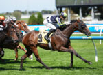 Leading jockey in a neon green helmet on a dark bay horse at full gallop on a grassy racetrack, with other racing horses close behind.