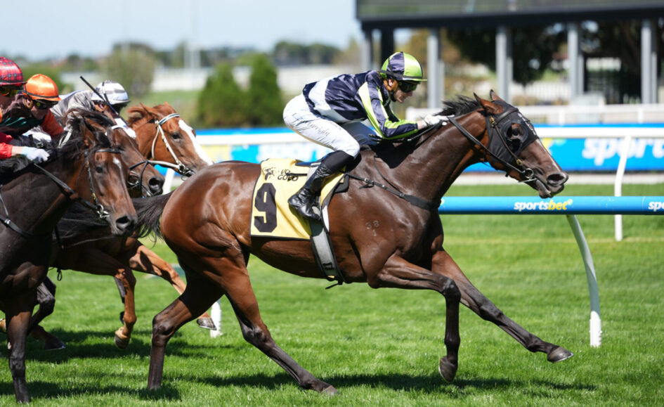 Leading jockey in a neon green helmet on a dark bay horse at full gallop on a grassy racetrack, with other racing horses close behind.