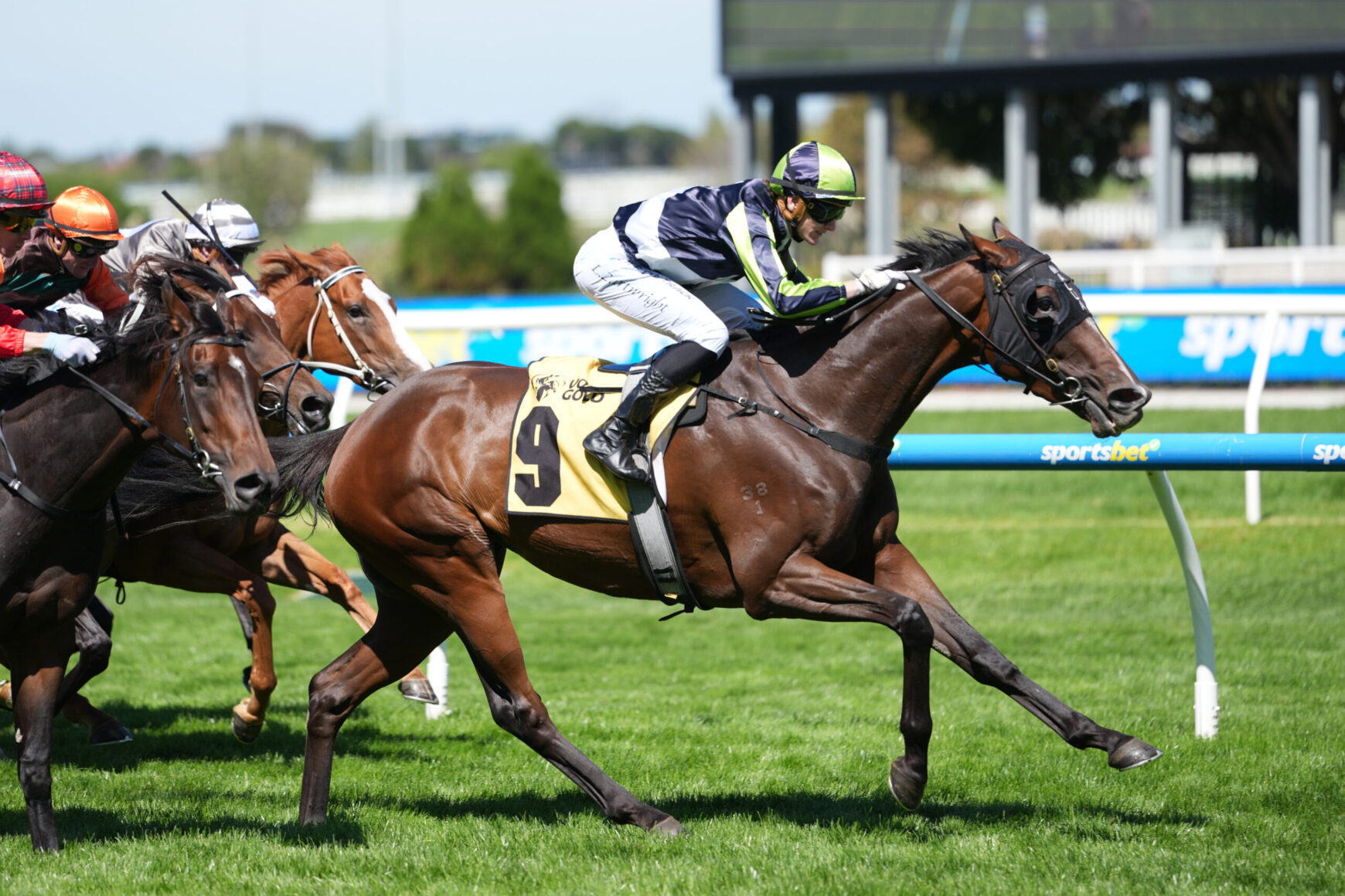 Leading jockey in a neon green helmet on a dark bay horse at full gallop on a grassy racetrack, with other racing horses close behind.