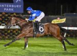 Jockey in blue silks rides a brown racehorse (number 6) at Canterbury Park, sprinting along the rail at night on a green turf track.