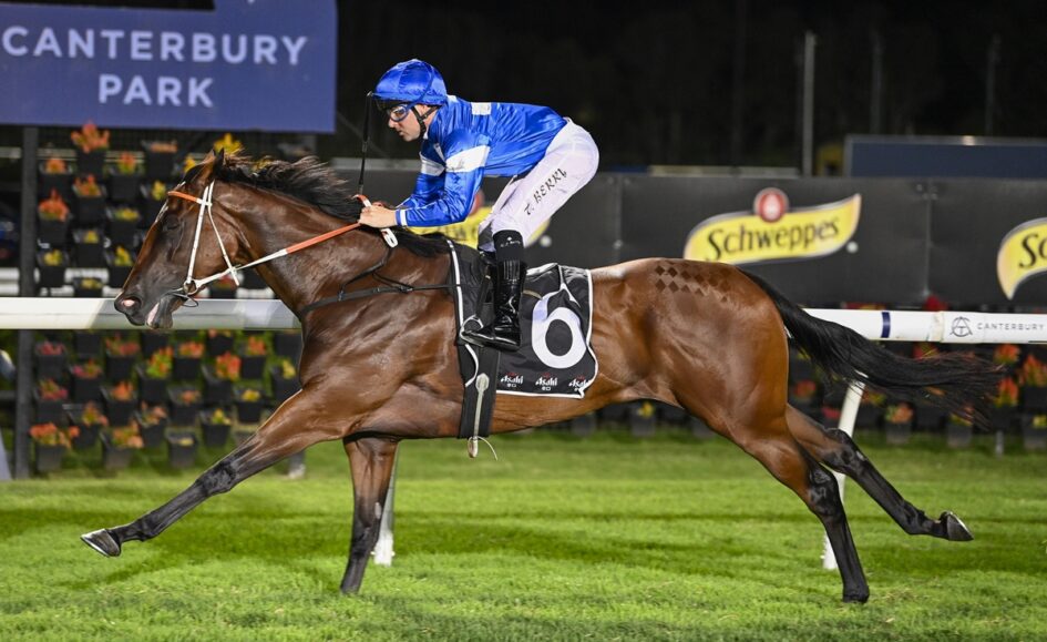Jockey in blue silks rides a brown racehorse (number 6) at Canterbury Park, sprinting along the rail at night on a green turf track.