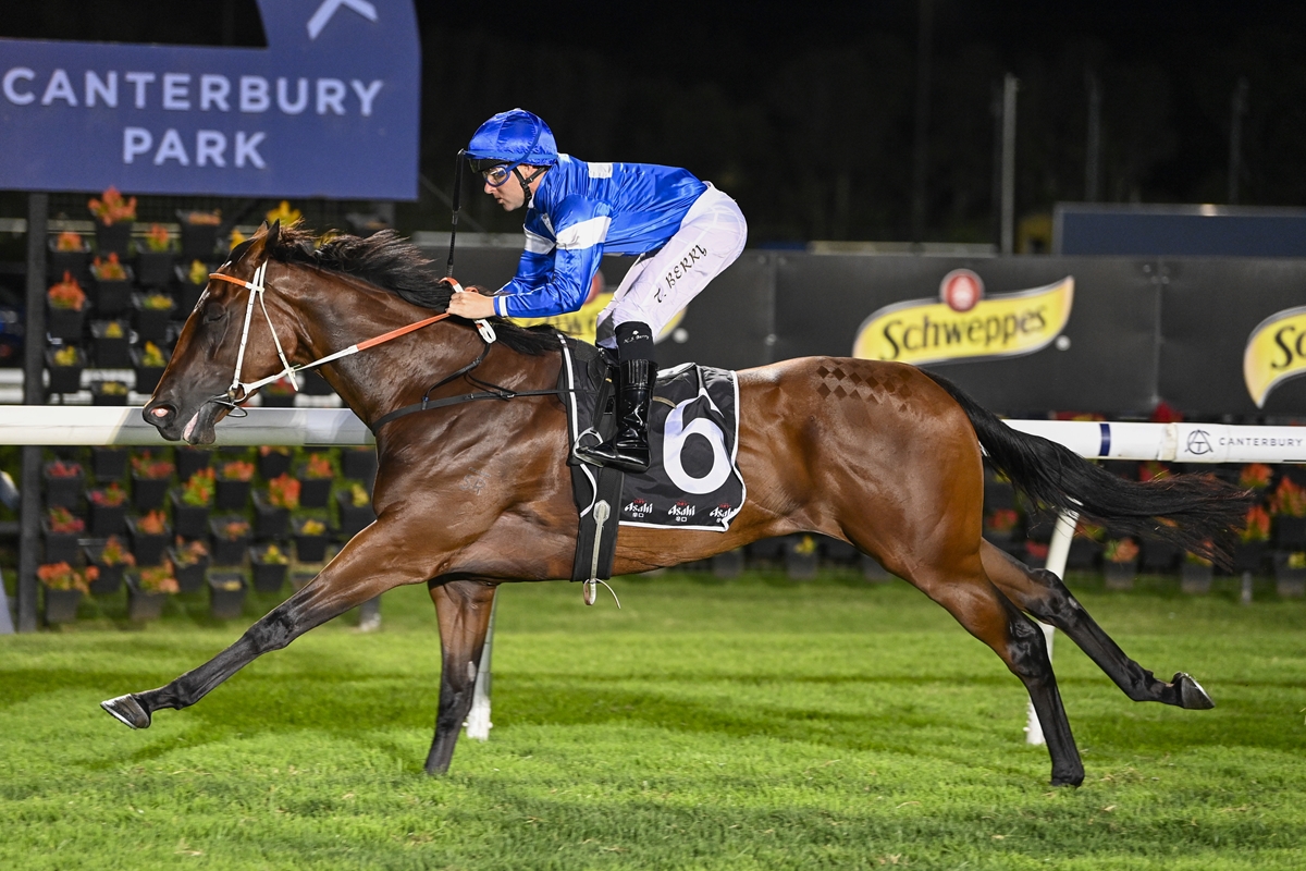 Jockey in blue silks rides a brown racehorse (number 6) at Canterbury Park, sprinting along the rail at night on a green turf track.