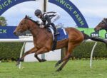 Jockey in striped silks rides a brown racehorse sprinting along the track under a blue finish-arch signainled course