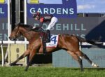 Jockey in red and black silks riding a brown racehorse at full gallop on a track, saddlecloth number 4 visible.